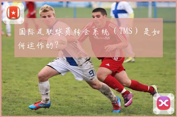 国际足联球员转会系统(TMS)是如何运作的?