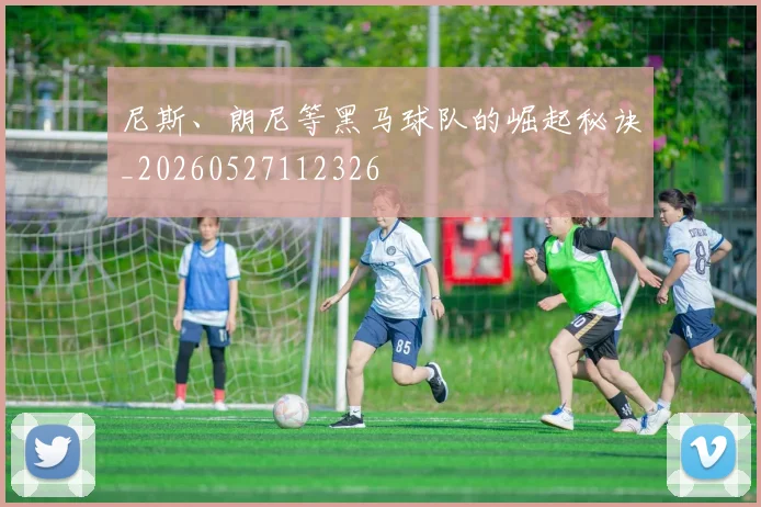 尼斯、朗尼等黑马球队的崛起秘诀_20260527112326