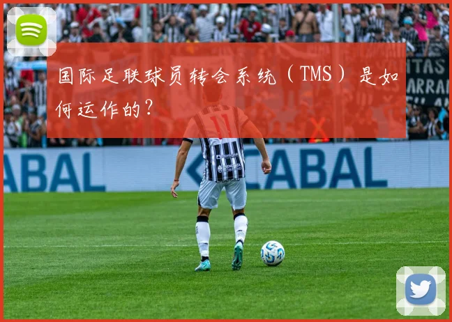 国际足联球员转会系统（TMS）是如何运作的？